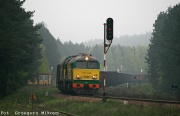 ST44-2020