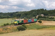 ST44-313