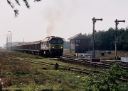 Niespodzianka