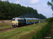 ST44-206
