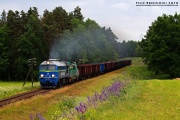 ST44-1113