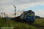 ST44-1217