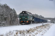 ST44-1228 Grupa