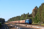 ST44-1233