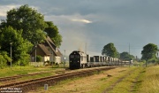 ST44-1239