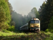 ST44-206 + ST44-1113 z gruchami