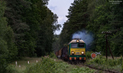 ST44-313