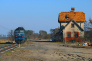Luzak w Goraju