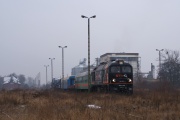 "Skrajnia" w Damasławku