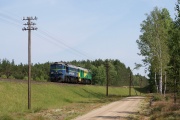 Pędzące luzaki