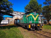 Zielona na Chemikach