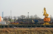 Wersja dzienna