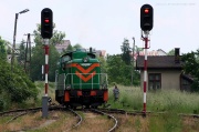 Limanowa