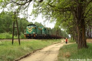 SM42-895+SM31-106