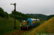 SM42-768