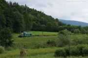 Transwersalna