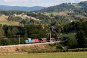 Szutrówki w Wiśle