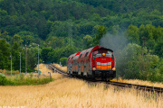 SM42-329