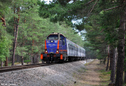 SM42-3004