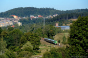 Dzik do Mieroszowa