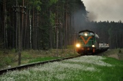 SM42-2601