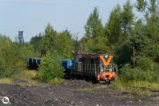 Wy fedrujecie, jo ida na penzyjo