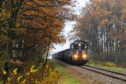 Jesiennny Okrzeszyn