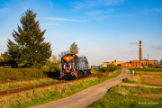 TEM2-017 w nowych barwach