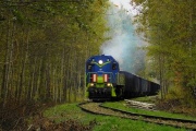 SM48-111