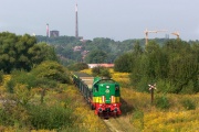 TEM2-031