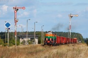 TEM2-183
