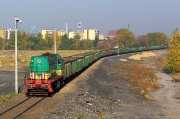 TEM2-216