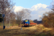 TEM2-107