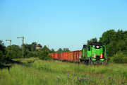 TEM2-204
