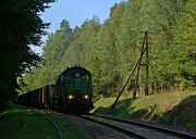 TEM2-080 w Nowinach.