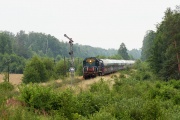 TEM2-251