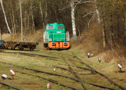 Wiosna w Fabryce Wagon