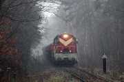 S229