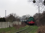 Przedwiosenny pośródogrodowy trzmiel