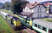 Mijanka w Ustrzykach Dolnych