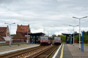 Krzyżowanie w Miastku