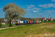 Towarowy pod kwitnącym drzewem