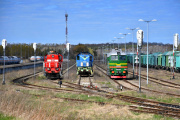 Szerokie spotkania