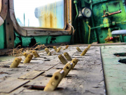 Surowość i prostota