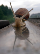 Tuż przed tragedią...