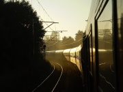 W porannym blasku słońca