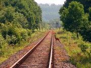 Jindzichov ve Slezsku - Głuchołazy