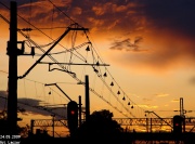 Wieczór w Siedlcach