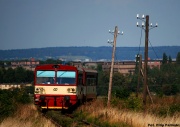 810 294-9