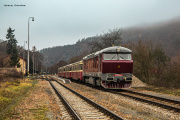 T478.1006